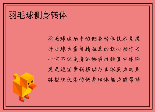 羽毛球侧身转体