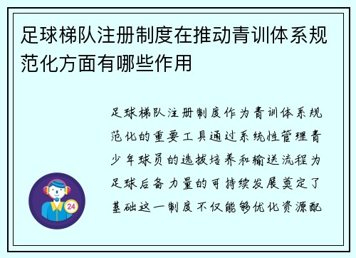 足球梯队注册制度在推动青训体系规范化方面有哪些作用